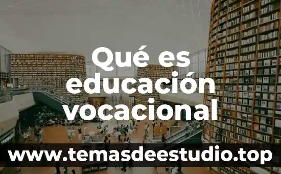 Que es habilidad en educacion fisica significado 6 Qué es educación vocacional