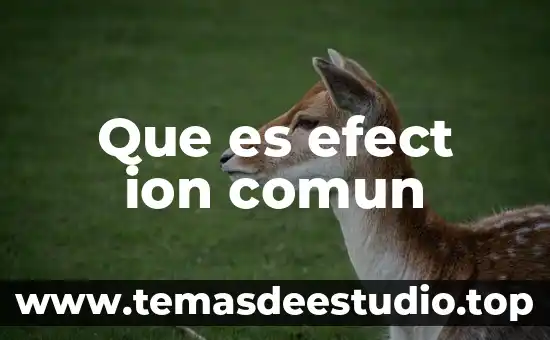 Que es efect ion comun