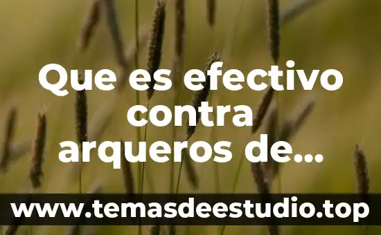 Qué es cultura de contra peso 6 Que es efectivo contra arqueros de tiro largo