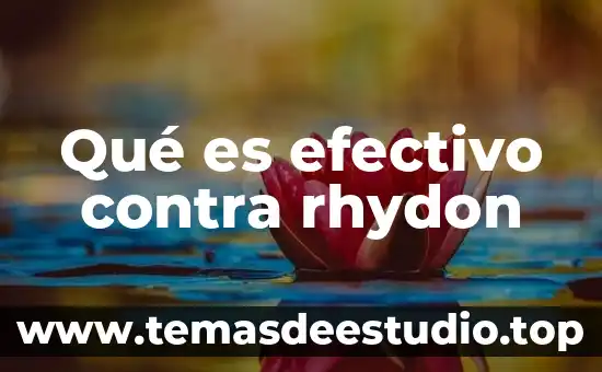 Que es sujeto del conocimiento 4 Qué es efectivo contra rhydon