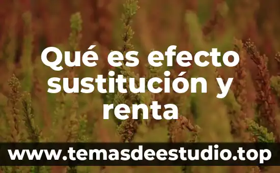 Que es el efecto termorregulador 5 Qué es efecto sustitución y renta