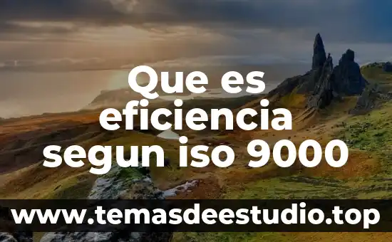 Qué es el pensamiento lógico matemático según autores 3 Que es eficiencia segun iso 9000