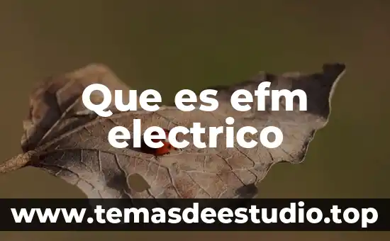 Un aparato eléctrico que es ta compuesto 5 Que es efm electrico