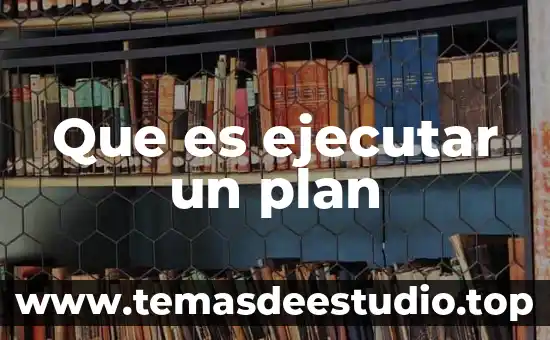 Que es el plan de desarrollo de diseño 5 Que es ejecutar un plan