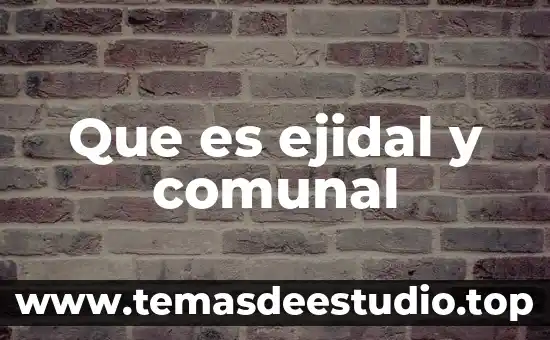 Que es ejidal y comunal