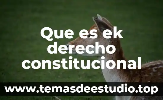 Que es derecho constitucional particular 3 Que es ek derecho constitucional