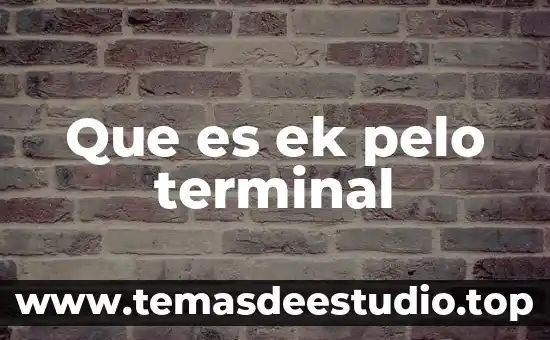 Qué es un símbolo terminal y no terminal 4 Que es ek pelo terminal