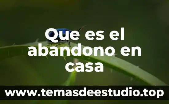 Que es la justicia y como se practica en casa 8 Que es el abandono en casa