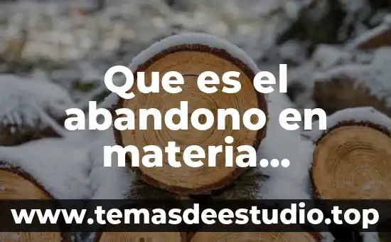 Que es la actividad aduanera 5 Que es el abandono en materia aduanera