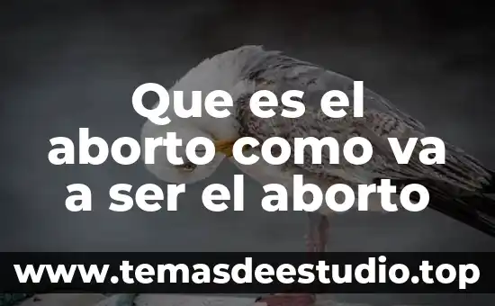 Que es ser agente educativo 7 Que es el aborto como va a ser el aborto