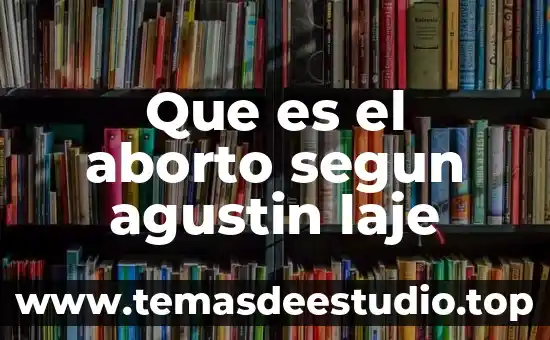Qué es la lógica según San Agustín 3 Que es el aborto segun agustin laje