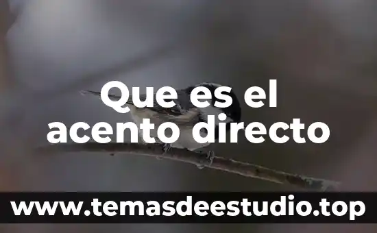 Que es el riesgo directo en ecología 4 Que es el acento directo