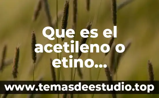 Que es caminos forestales y sus caracteristicas de cada cuno 5 Que es el acetileno o etino caracteristicas