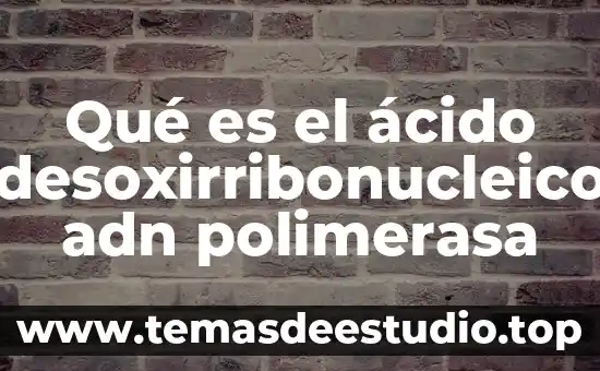 Que es el adn en el celular 6 Qué es el ácido desoxirribonucleico adn polimerasa