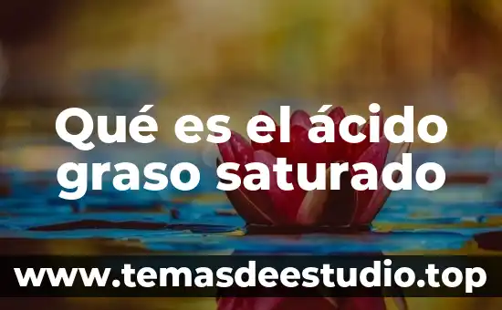 Que es bueno para el higado graso en niños 4 Qué es el ácido graso saturado