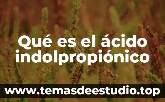 Qué es el ácido indolpropiónico
