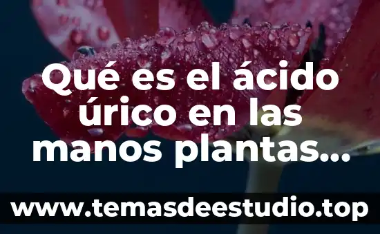 Que es bueno para el acido urico en las manos 8 Qué es el ácido úrico en las manos plantas medicinales
