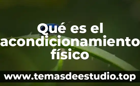 Que es una rehabilitador fisico 7 Qué es el acondicionamiento físico