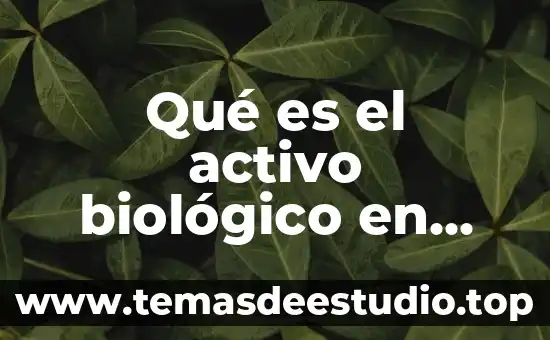 Que es software lenguaje de programacion 8 Qué es el activo biológico en ganadería