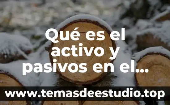 Qué es el activo y pasivos en el balance general