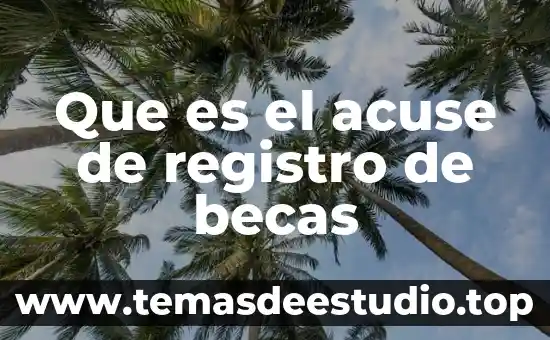 Que es un registro reach 3 Que es el acuse de registro de becas