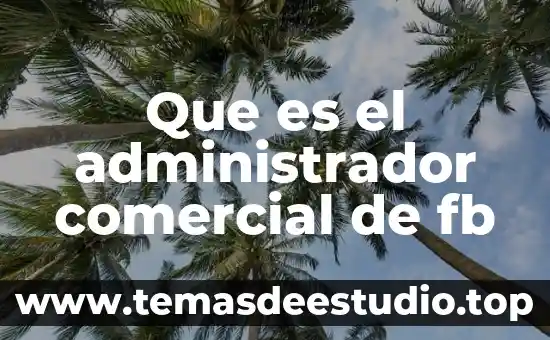 Mega comercial que es 6 Que es el administrador comercial de fb
