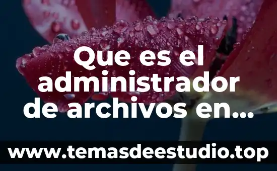 Que es el administrador de archivos en windows
