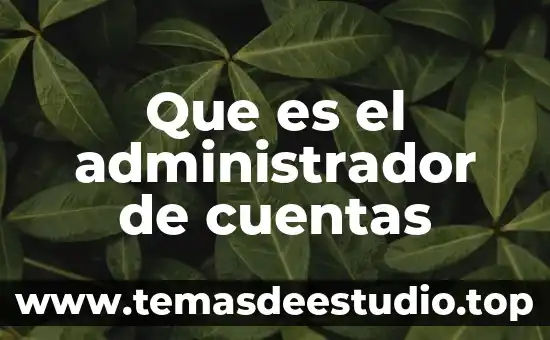 Que es el administrador de cuentas