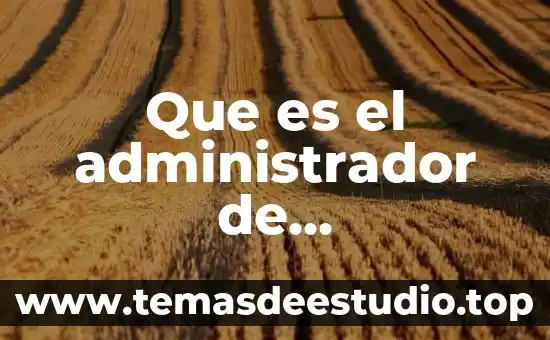 Que es el administrador de transacciones distribuidas dtm
