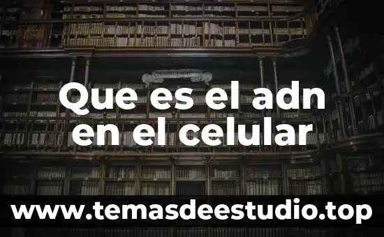 Qué es el ácido desoxirribonucleico adn polimerasa 7 Que es el adn en el celular