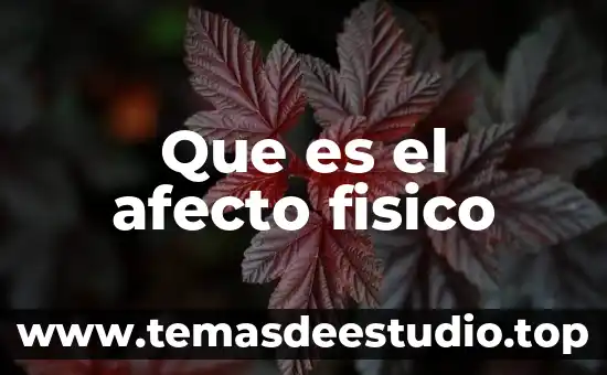 Que es una rehabilitador fisico 5 Que es el afecto fisico