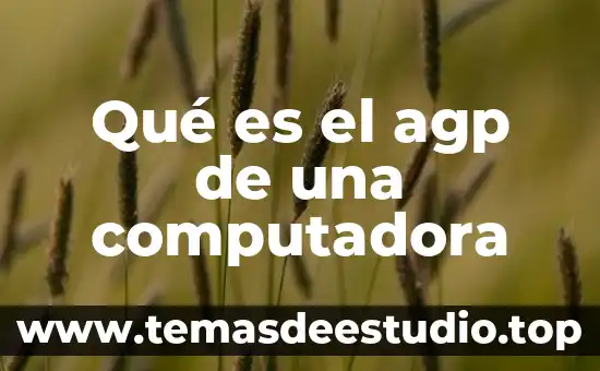 Que es significa bios de una computadora 6 Qué es el agp de una computadora