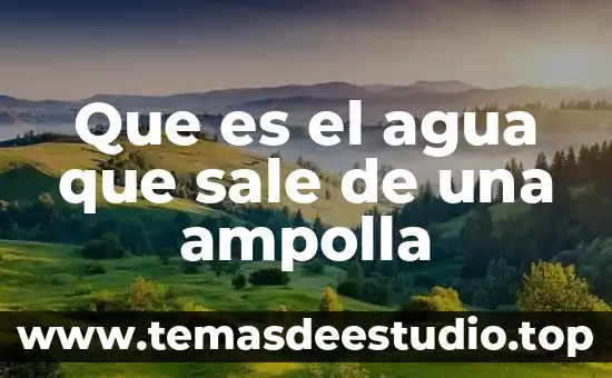 Sila orina sale como grasosa que es 6 Que es el agua que sale de una ampolla