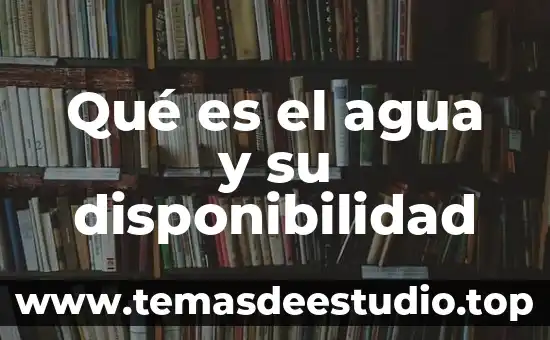 Que es disponibilidad de nutrientes alimentos 3 Qué es el agua y su disponibilidad