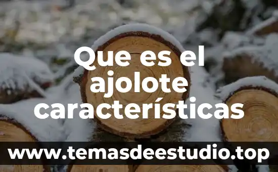 Que es el ajolote características