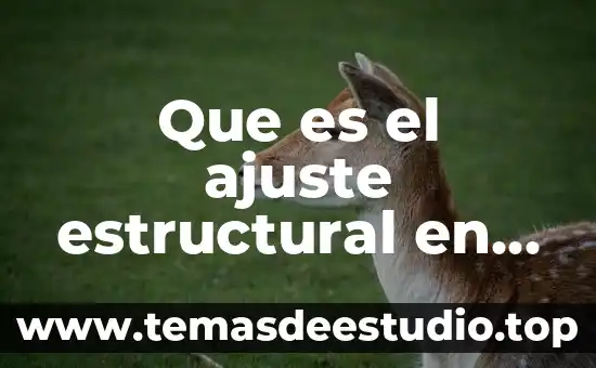 Que es el ajuste estructural en bolivia