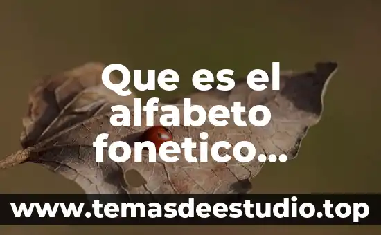Que es mejor el idioma ingles o frances 3 Que es el alfabeto fonetico internacional de frances