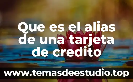 Que es tarjeta de regalo 7 Que es el alias de una tarjeta de credito