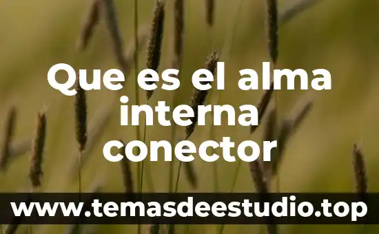 Que es el alma interna conector