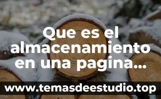 Qué es base de datos para página web 3 Que es el almacenamiento en una pagina web
