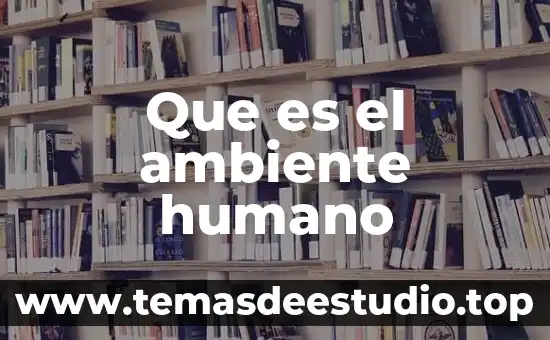Que es el arte humano 3 Que es el ambiente humano