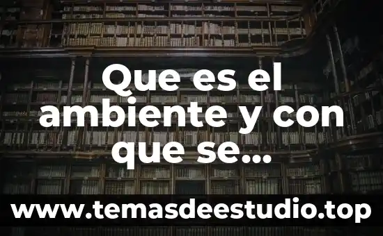 Que es concepto como se relaciona con el objeto sujeto 4 Que es el ambiente y con que se relaciona
