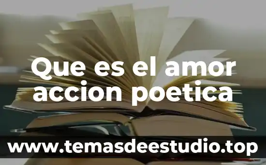 Que es el amor accion poetica