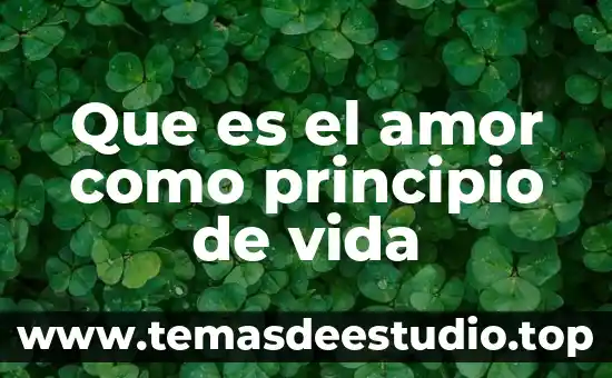 Que es principio del derecho 8 Que es el amor como principio de vida