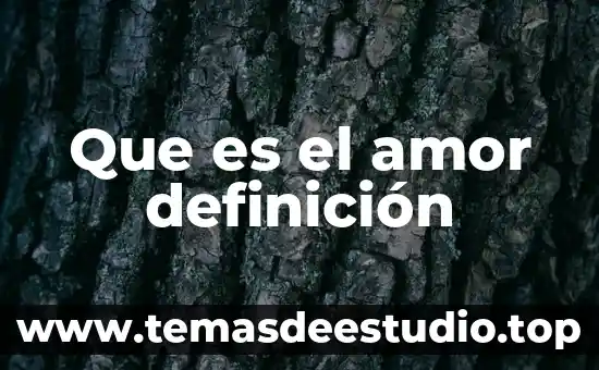 Que es el amor definición