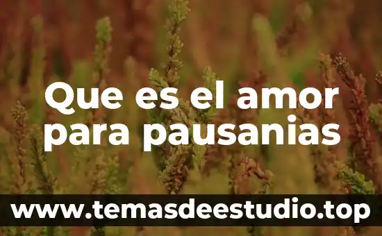 Pensamiento de lo que es el amor 7 Que es el amor para pausanias