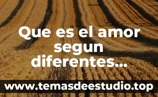 Qué es el pensamiento lógico matemático según autores 6 Que es el amor segun diferentes culturas