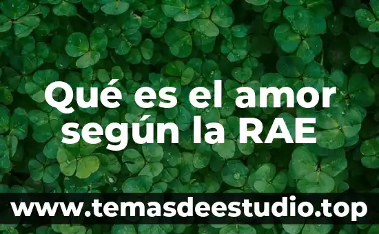 Que es feminidad segun la rae 8 Qué es el amor según la RAE