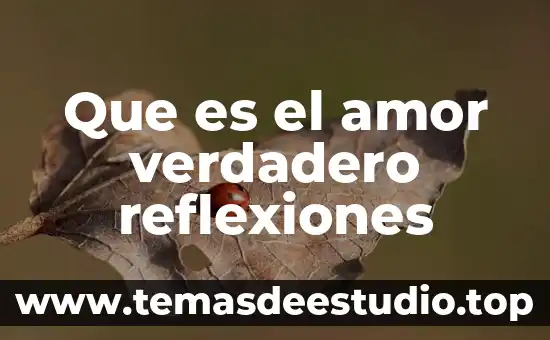 Metodo que es el camino que conduce al verdadero conocimiento 6 Que es el amor verdadero reflexiones