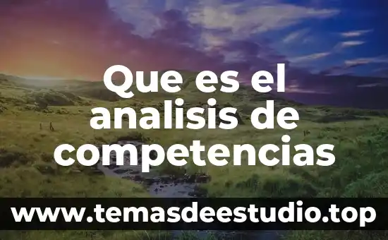 Que es sistema educativo por competencias 5 Que es el analisis de competencias